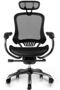 Ergonomic chair